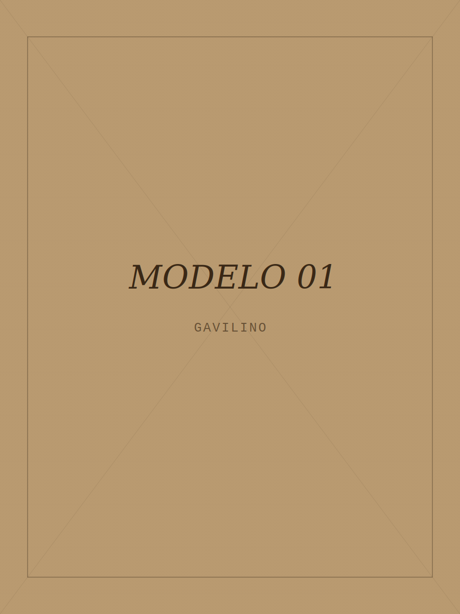 Modelo con camisa GAVILINO 1