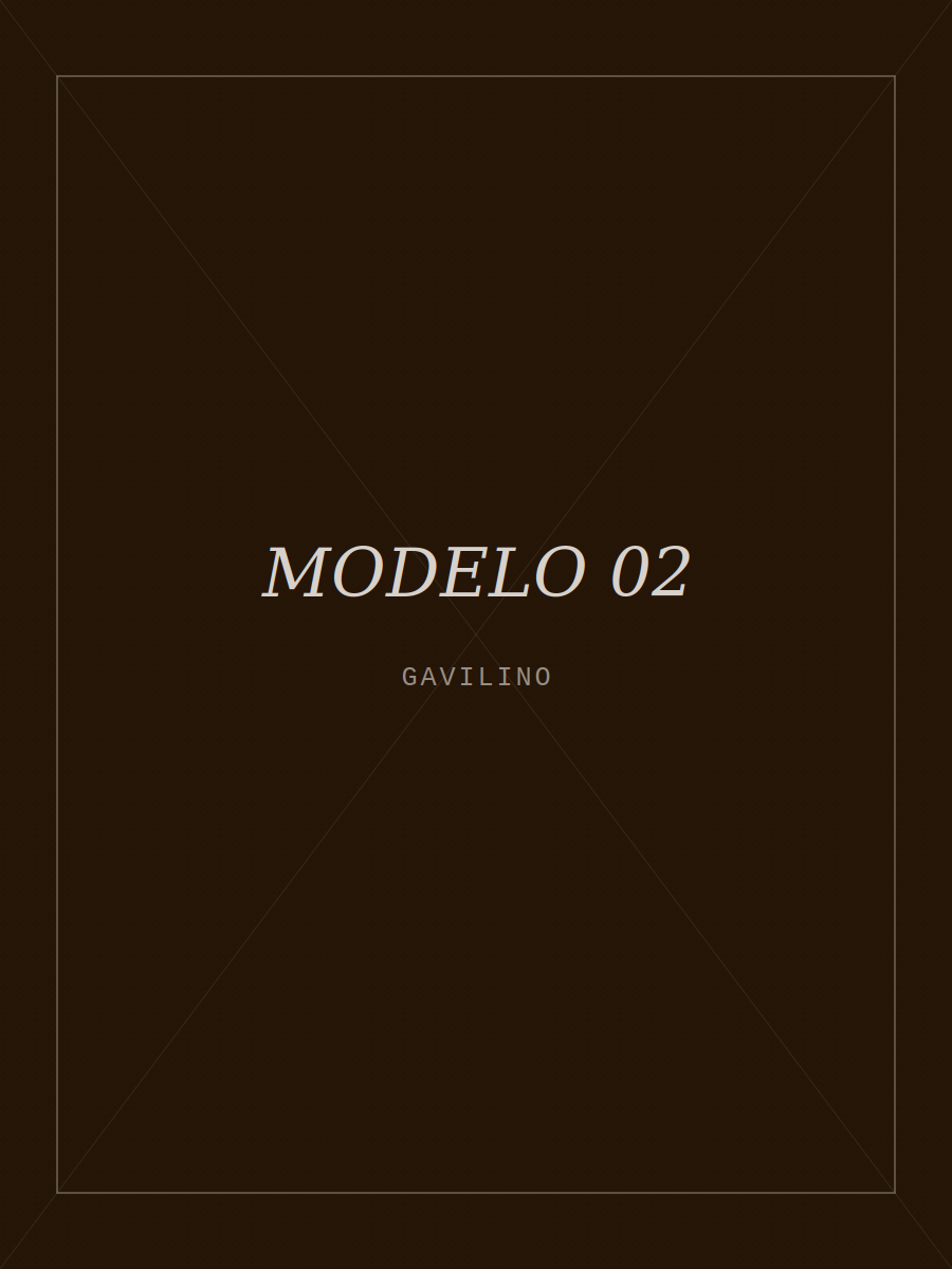 Modelo con camisa GAVILINO 2