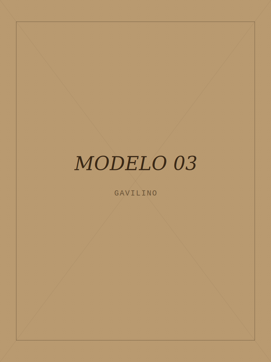 Modelo con camisa GAVILINO 3