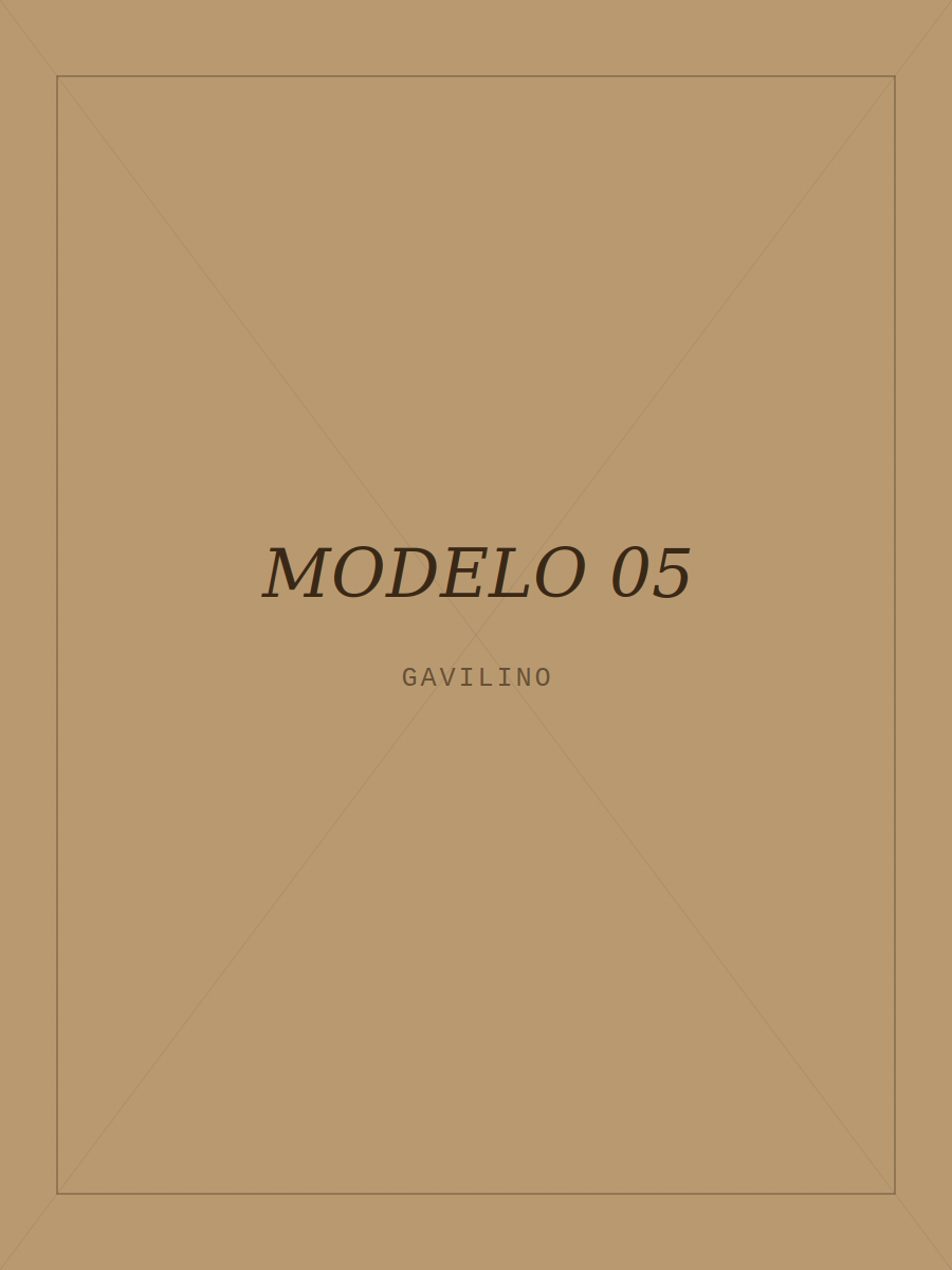 Modelo con camisa GAVILINO 5