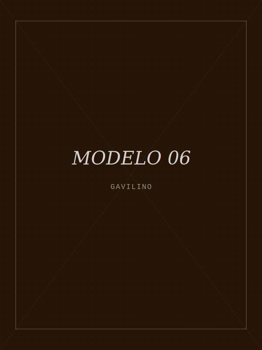 Modelo con camisa GAVILINO 6